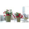 STEFANPLAST kvetináč s podmisou Ethica Ø40x39cm zelená
