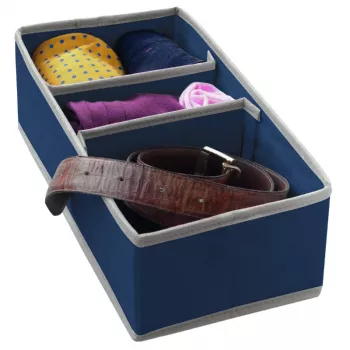 ORDINETT Box s priehradkami M 30,5 x 15,5 x 10 cm, modrý