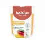BOLSIUS True Scents Mango vonná sviečka v skle Ø80x73mm