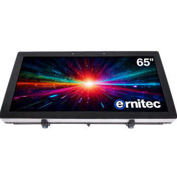Ernitec 65