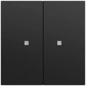 GIRA 517374 kolískový tlačidlový spínač 2-násobný OneKNX System 70 čierny (517374)