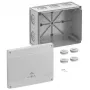 Spelsberg Abox Pro 250-L rozvodná krabica, IP66/IP67/IP69, 42540001