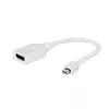 Gembird Mini DisplayPort na DisplayPort adaptér, biely