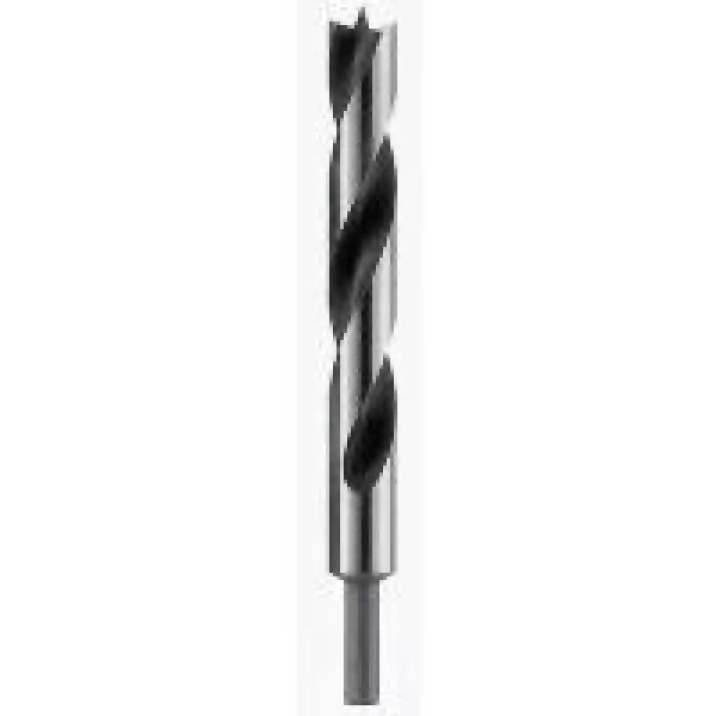 Bosch drevo-spirálový vrták 18 mm 2608597193 celková dĺžka 250 mm valcová stopka