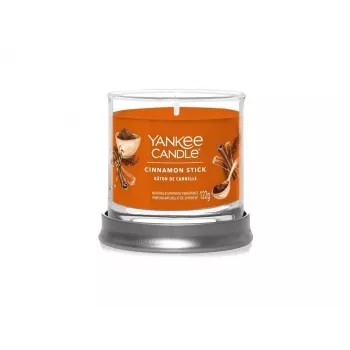 Yankee Candle Cinnamon Stick tumbler sviečka s 1 knôtom