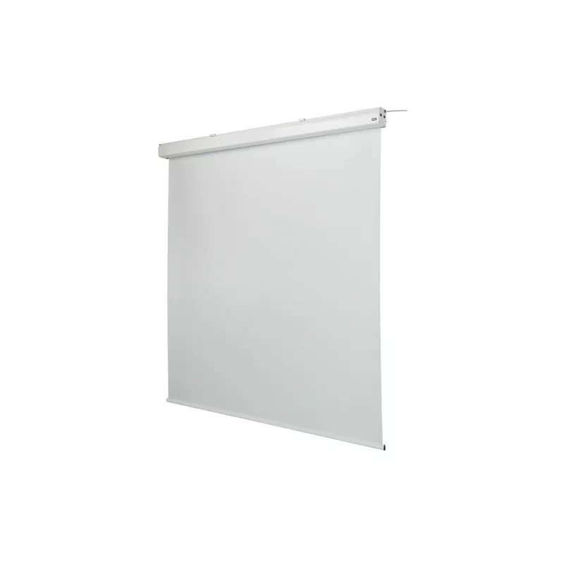 celexon Expert motorizované projekčné plátno, 156" (396 cm), 230 V