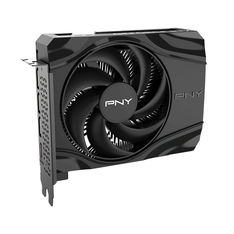 PNY GeForce RTX 5060 Single Fan grafická karta, 8 GB GDDR7 (VCG50608SFXPB1)