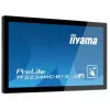 iiyama TF2234MC-B1X 21,5″ (55,9 cm) multidotykový monitor, 16:9, DVI