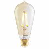 Osram SMART+ MATTER Filament Dimmable Classic Edison 53 824 inteligentná žiarovka, zlatá, E27, 6 W, teplá biela, Wi-Fi