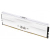 Silicon Power XPOWER Zenith Gaming SP032GXLWU60AFDG, 32 GB (2 x 16 GB), DDR5, 6000 MHz, CL30, 1,35 V, biela