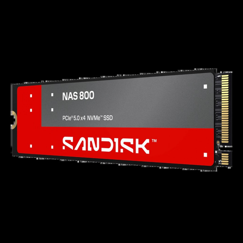 SanDisk NAS 800 960 GB M.2 2280 NVMe Gen 5 interný SSD (SDSNP2960GAN-000E0)
