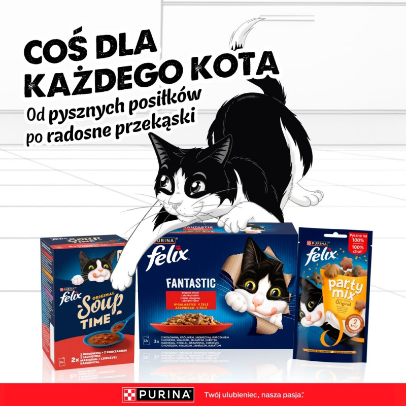 Purina Felix Agail krmivo pre mačky, hovädzie, 44 x 85 g