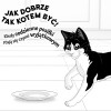 Purina Felix Agail krmivo pre mačky, hovädzie, 44 x 85 g
