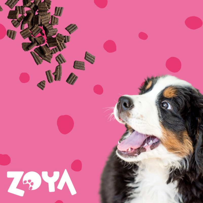 ZOYA ColdPRO Beef suché krmivo pre psov, 1 kg
