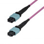 StarTech.com OM4MTP12BOFNP5M MTP/MPO-12 multimódový vláknový patch kábel (5 m)