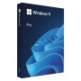 Microsoft Windows 11 Pro BOX, 64-bit, poľština, USB flash disk (HAV-00209)