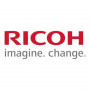 Ricoh D0BN2243 Developer Yellow