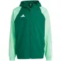 adidas Tiro 23 Competition All Weather pánska bunda zelená IC4570