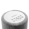 Audio Pro G10 Smart Speaker svetlosivý