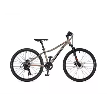 Author A-Matrix 24D 24-palcový detský bicykel, Titanium Matte/Black Matte, 2026