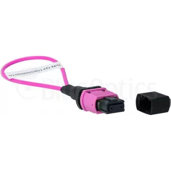 BlueOptics Loopback adaptér MPO/MTP multimode OM4