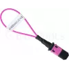 BlueOptics Loopback adaptér MPO/MTP multimode OM4
