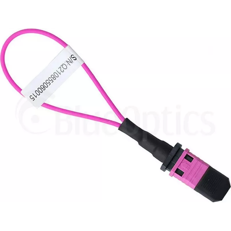 BlueOptics Loopback adaptér MPO/MTP multimode OM4