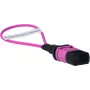 BlueOptics Loopback adaptér MPO/MTP multimode OM4