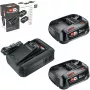 Bosch 18V štartovacia sada 2 x 2,5 Ah batérie + AL 18V-44 nabíjačka (1600A031T5)