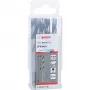 Bosch PowerTools HSS PointTeQ Hex skrutkový vrták, 6 mm, 10 kusov, pracovná dĺžka 57 mm