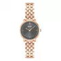 BOSS dámske hodinky 1502820 quartz hodinky 28mm oceľ mesh strieborná