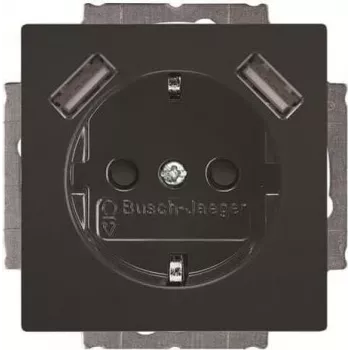 BUSCH-JAEGER BJ 20 EUCB2USB-81 SCHUKO zásuvka s 2 USB portmi, alpská biela 2CKA002011A6267