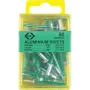 C.K Tools T3819A 508 slepé nity 4,8 x 19 mm hliník/oceľ kupolová hlava (50 ks)