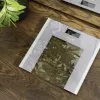 Cecotec osobná váha Surface Precision Healthy maximálna hmotnosť 180 sivá/transparentná