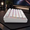 Dark Project Terra Nostra G3MS Moonstone Switch, RU biela