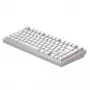 Dark Project Terra Nostra G3MS Moonstone Switch, RU biela