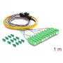 Delock Fiber Optic Pigtail Fanout kábel 12 x SC-APC Simplex konektor na 12 x otvorené konce 1 m