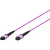 DIGITUS OM4 MPO na MPO 12-vláknový patch kábel, 2m, metóda A, fialový DK-2566-02/4