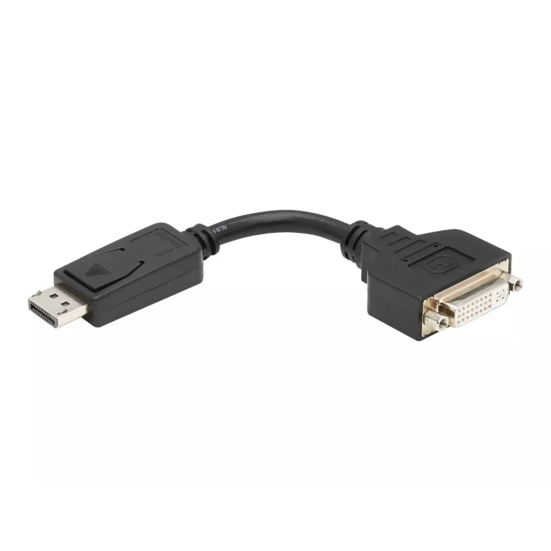EATON Tripp Lite Series DisplayPort na DVI-I adaptérový kábel (M/F), 15,2 cm (6 palcov)