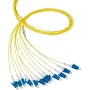 EFB Elektronik Fiber Pigtail LC 62.5/125 OM1 modrý 2m