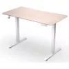 ENDORFY Atlas S elektricky výškovo nastaviteľný stôl svetlé drevo 120x60 cm