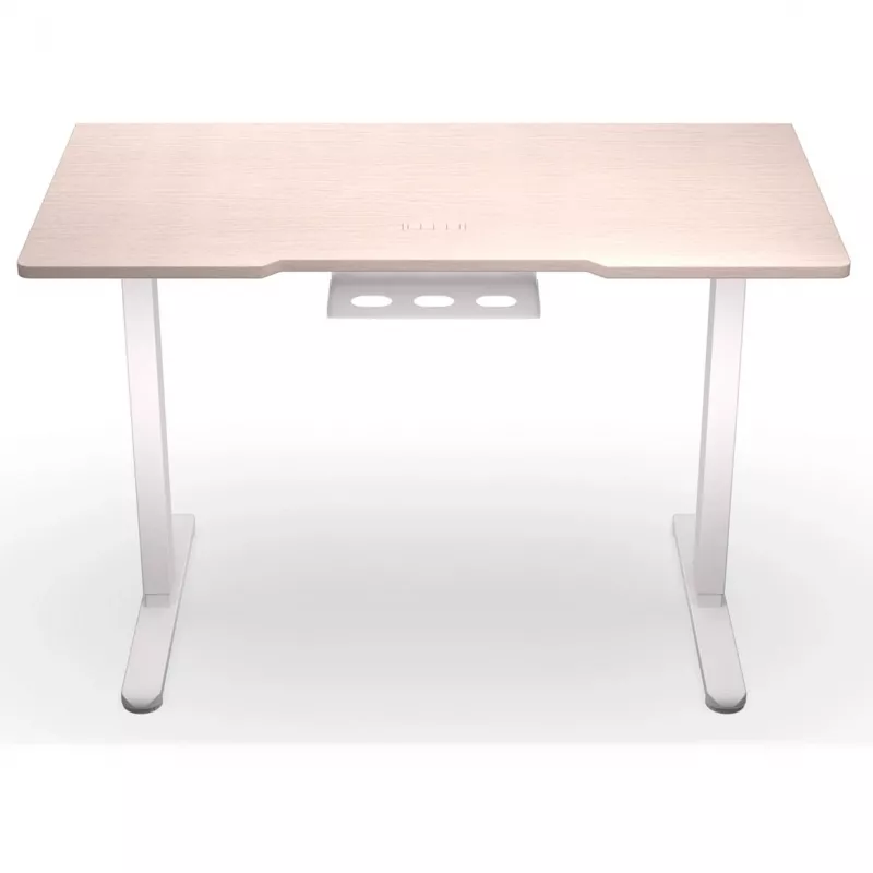 ENDORFY Atlas S elektricky výškovo nastaviteľný stôl svetlé drevo 120x60 cm