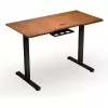 ENDORFY Atlas S Electric výškovo nastaviteľný stôl orech/čierna 120x60 cm