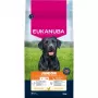 Eukanuba Premium Nutrition Junior Large & Giant Breed suché krmivo pre psov, kura 15kg
