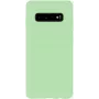 Evelatus Samsung Galaxy S10 Nano Silicone puzdro Soft Touch TPU mint