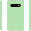 Evelatus Samsung Galaxy S10+ Nano silikónové puzdro Soft Touch TPU mätová