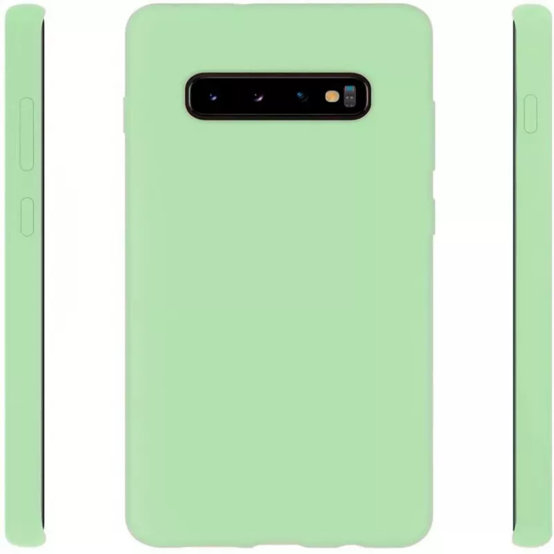 Evelatus Samsung Galaxy S10+ Nano silikónové puzdro Soft Touch TPU mätová