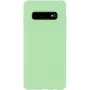 Evelatus Samsung Galaxy S10+ Nano silikónové puzdro Soft Touch TPU mätová