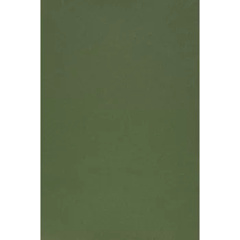 Evelatus univerzálna farebná lesklá fólia pre rezačku na displej army green