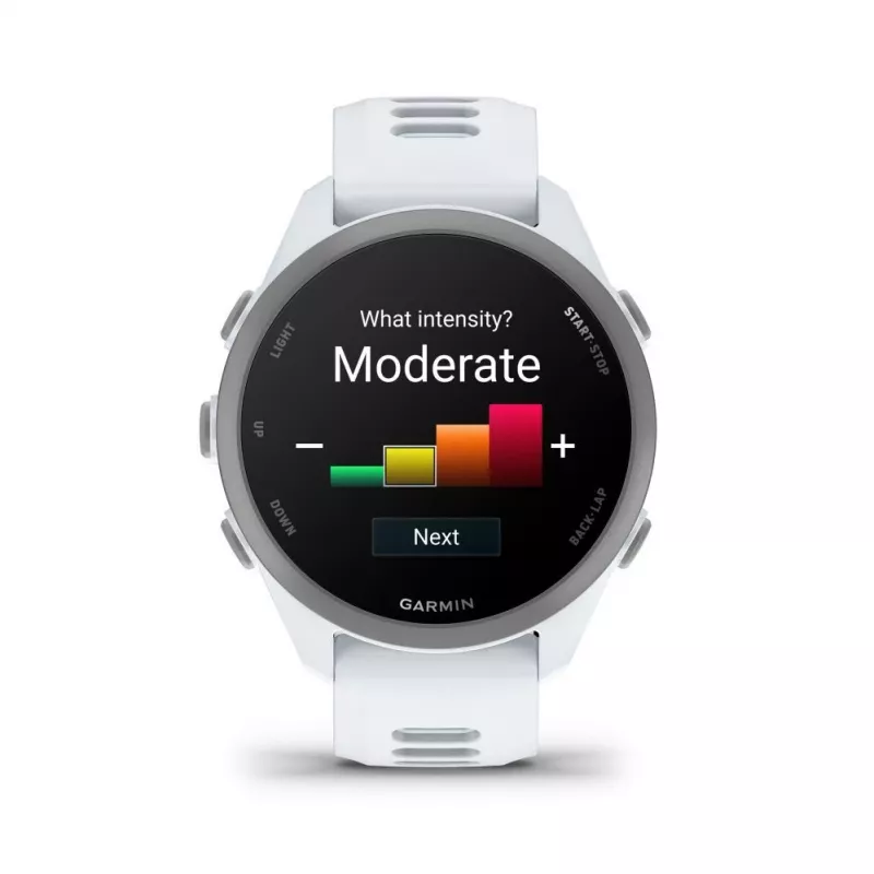Garmin Forerunner 170 Music, Whitestone s remienkom Whitestone/Cloud Blue